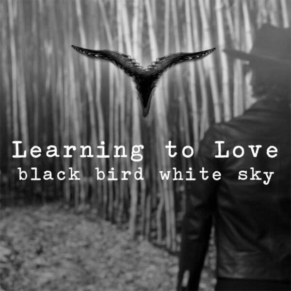 Cover art for Learning To Love