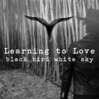 Learning To Love